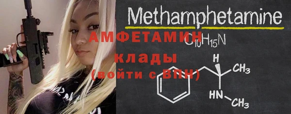 PSILOCYBIN Ельня