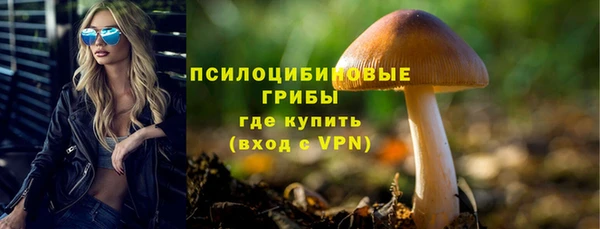 PSILOCYBIN Ельня