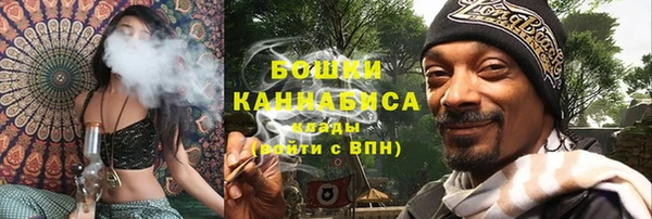 PSILOCYBIN Ельня