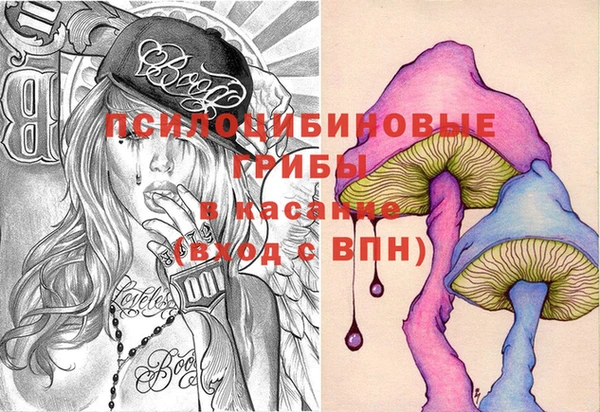 спиды Елизово